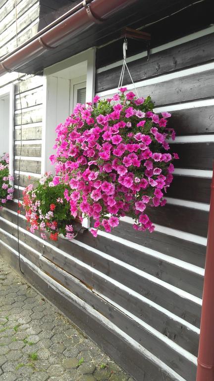 Penzion Lesni Pramen Pec pod Snezkou Exterior foto